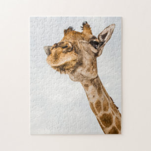 Nahes Portrait eines Giraffe-Jigsaw-Puzzles
