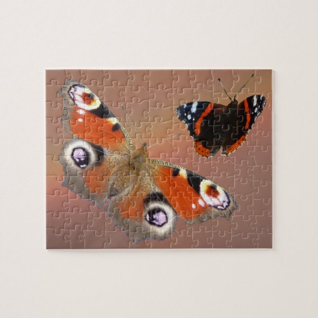 Nahes Puzzle: Pfau und Schmetterling Atalanta (Horizontal)