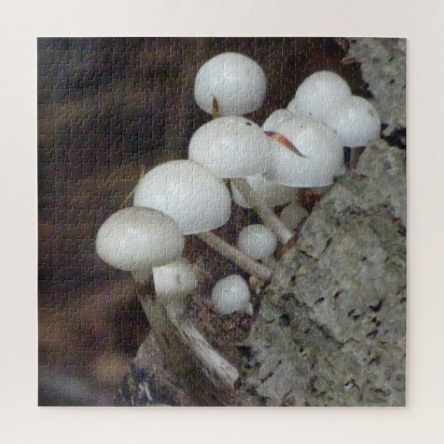 Nahes Puzzle: Pilze aus Porzellan (Vertikal)