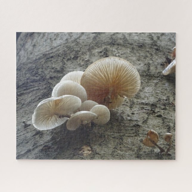 Nahes Puzzle: Pilze aus Porzellan auf Baum (Horizontal)