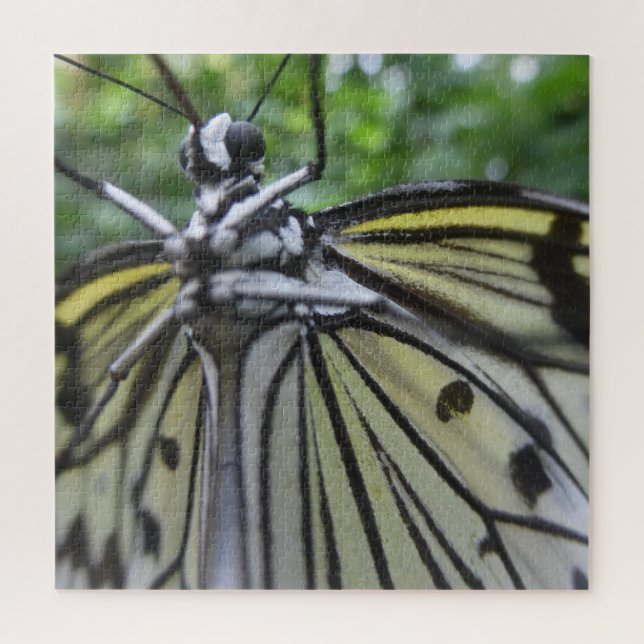 Nahes Puzzle: Schwarz-Weiß-Schmetterling (Vertikal)