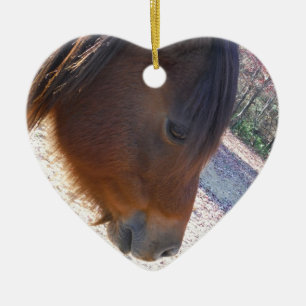 Nahes Reitpferd, Little Brown Pony Keramikornament