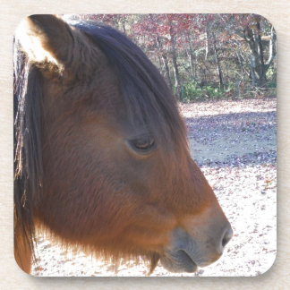Nahes Reitpferd, Little Brown Pony Untersetzer