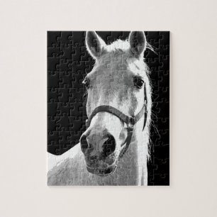 Nahes Schwarz-weißes Pferd in der Nacht