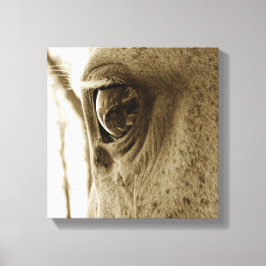 Nahes Sepia-Bild eines Grausehauges Leinwanddruck