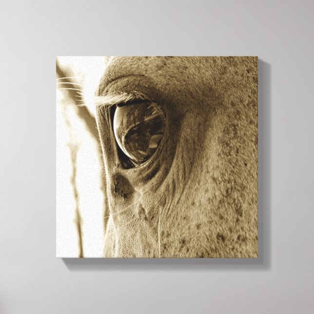 Nahes Sepia-Bild eines Grausehauges Leinwanddruck (Vorderseite)