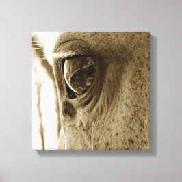 Nahes Sepia-Bild eines Grausehauges Leinwanddruck
