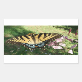 Nahes Tiger-Frack neben Cleome Recta Rechteckiger Aufkleber