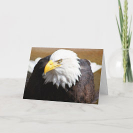 Nahes Up Bald Eagle Blank Notecard Karte