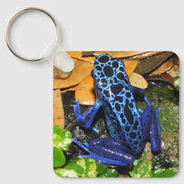 Nahes Up of a Blue Poision Dart Frog Schlüsselanhänger