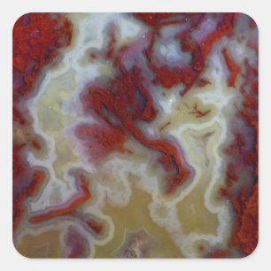 Nahes Up of Red Moss Agate Slab Quadratischer Aufkleber
