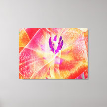 Nahes up of Red Tulip Abstrakt