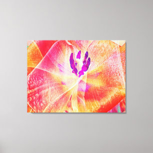 Nahes up of Red Tulip Abstrakt Leinwanddruck