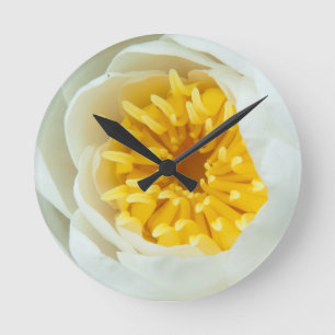 Nahes Wasser Lilly Runde Wanduhr