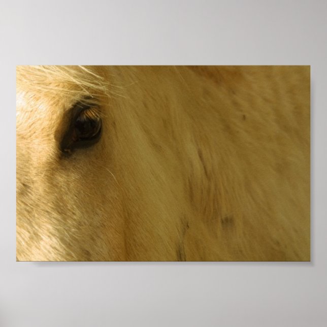 Nahkampf Poster (Vorne)