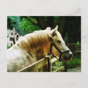 Nahkampf Postkarte