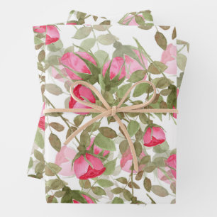 Nahtlose Aquarellfarben Blume Rosa Rosen Blüten Geschenkpapier Set