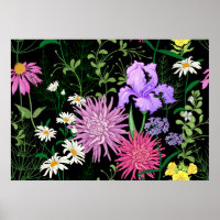 Nahtloses Sommermuster. Wilde Blume Kamille, h