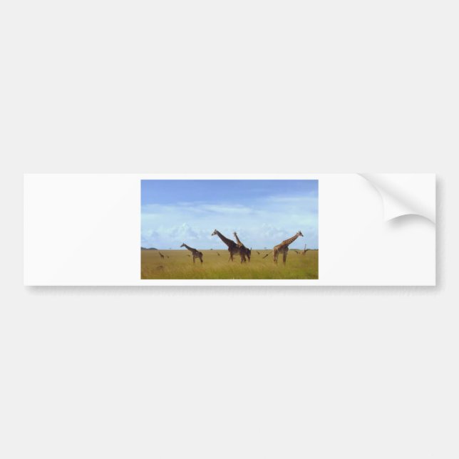 Nairobi-Nationalpark Giraffen Autoaufkleber (Vorne)