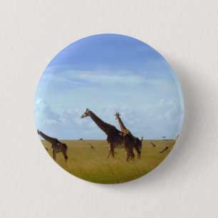 Nairobi-Nationalpark Giraffen Button