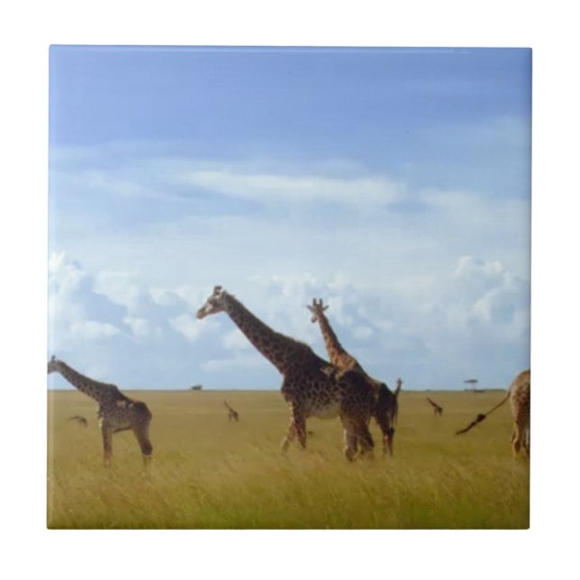 Nairobi-Nationalpark Giraffen Fliese (Vorderseite)