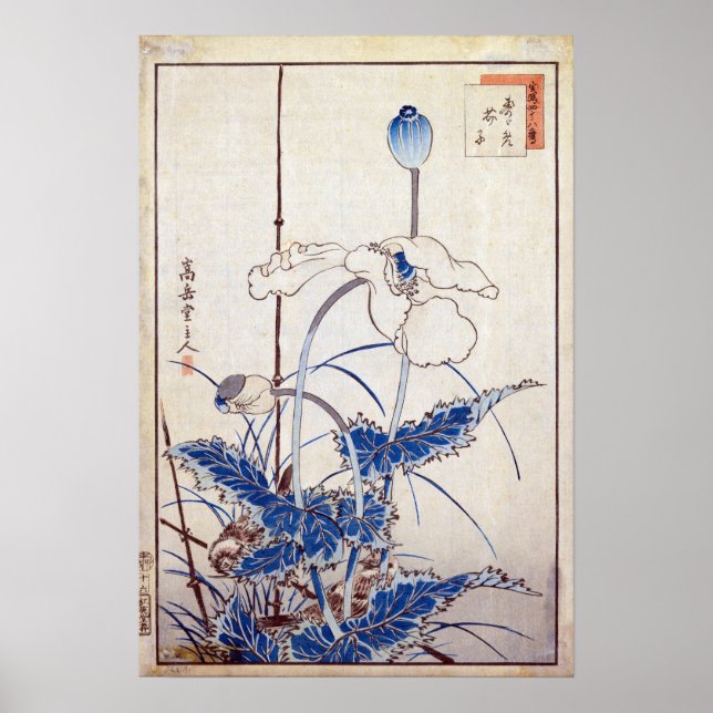 Nakayama Sugakudo Bird über Poppies Poster (Vorne)