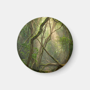 Namal Uyana Mystischer Wald Golfbälle - Eisenholz Magnet