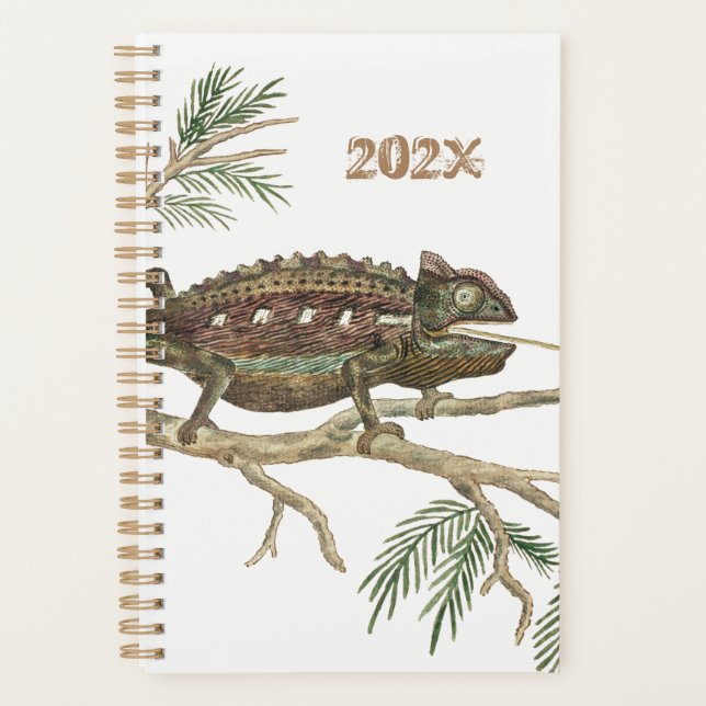 Namaqua chameleon Lizard Reptile Gecko Jigsaw Planer (Vorderseite)