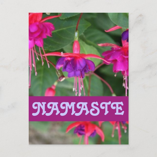 NAMASTE fuschia Postkarte (Vorderseite)