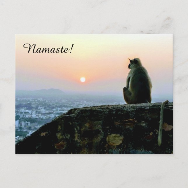 Namaste Mediation Yoga Monkey in Indien bei Sunset Postkarte (Vorderseite)