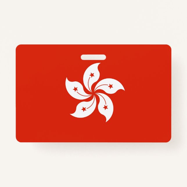 Name Abzeichen mit der Flagge Hongkongs Ausweis (Vorderseite)