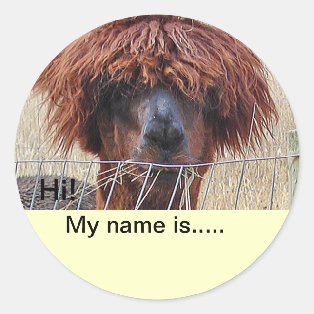 Name-Aufkleber hinzufügen Runder Aufkleber (Vorderseite)