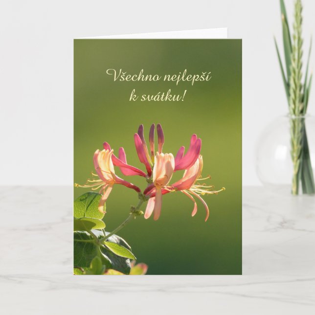 Name Day card in Tschechisch Karte (Vorderseite)
