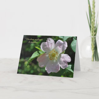 Name Day card in Tschechisch Karte