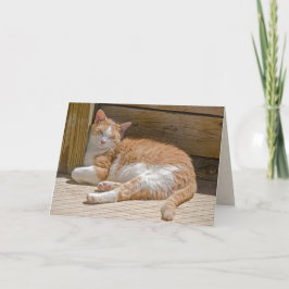 Name Day Tabby Cat Nickerchen Card Karte
