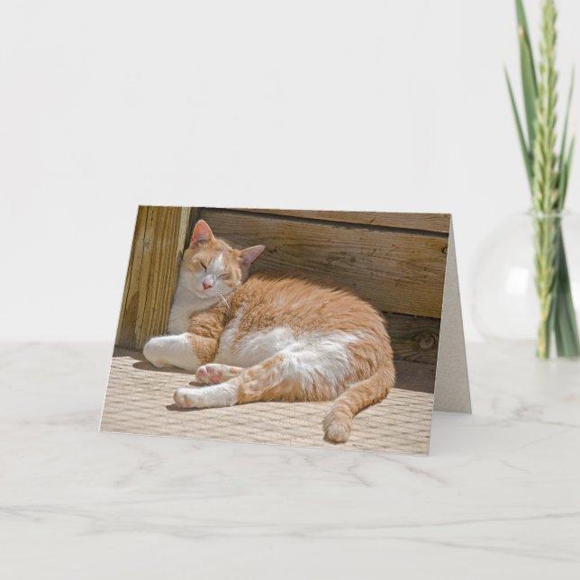 Name Day Tabby Cat Nickerchen Card Karte (Vorderseite)
