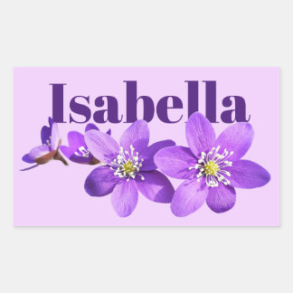 Name der lila Anemonenblüten Rechteckiger Aufkleber