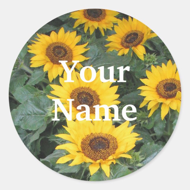 Name der Sonnenblume Runder Aufkleber (Vorderseite)