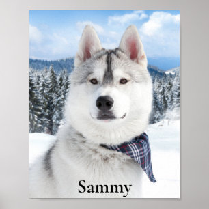 Name des Fotos des Begleiters Print, Werteplakatpa Poster