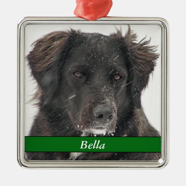 Name des Fotos des schwarzen Labradors Ornament Aus Metall (Vorne)