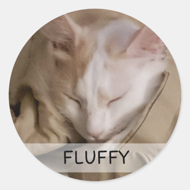 Name des Katzen-Fotos Runder Aufkleber (Vorderseite)