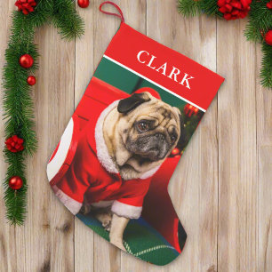 Name des niedlichen Red & Green Doppy-Pet-Fotos Kleiner Weihnachtsstrumpf