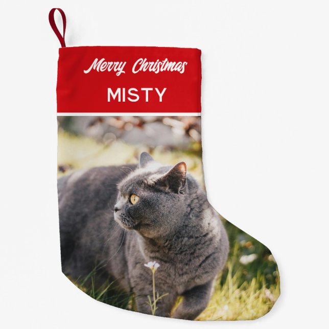 Name des personalisierten Pet-Fotos Monogramm Kleiner Weihnachtsstrumpf (Vorderseite)