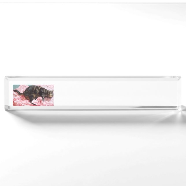 Name Plakat des Schneior Dave Schreibtisches Namensplakette (Vorderseite)