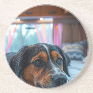 Name: Träumender Hund Getränkeuntersetzer