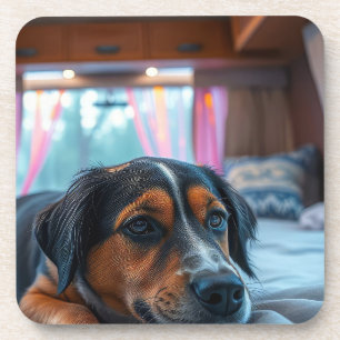 Name: Träumender Hund Getränkeuntersetzer