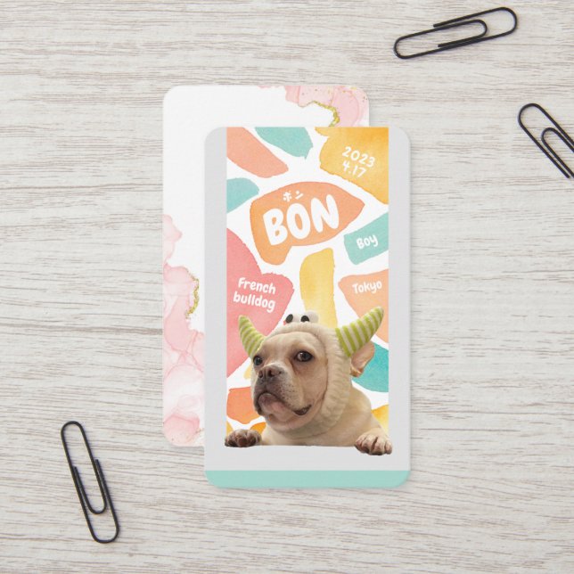 NameCard 2 Visitenkarte (Vorderseite/Rückseite Beispiel)