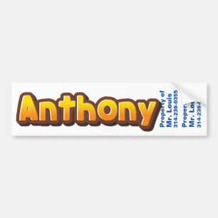 Namen: Anthonynametag/-aufkleber Autoaufkleber