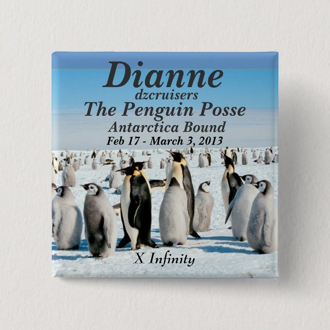 Namensknopf Pinguin-Gruppe Feb 2013 Button (Vorderseite)