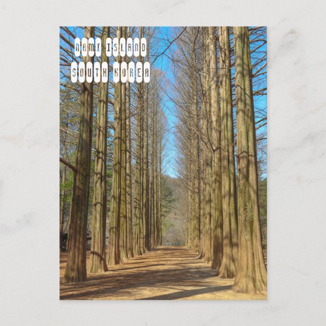 Nami Island Postkarte (Vorderseite)